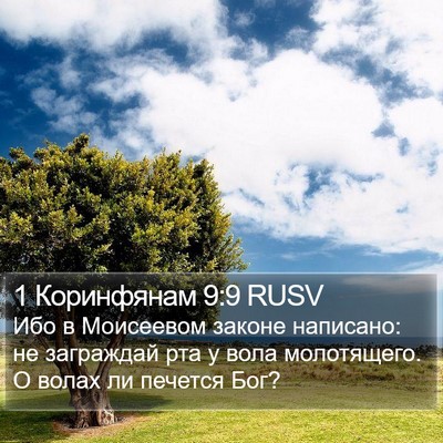 1 Коринфянам 9:9 RUSV Bible Verse Image