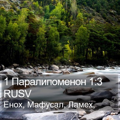 1 Паралипоменон 1:3 RUSV Bible Verse Image