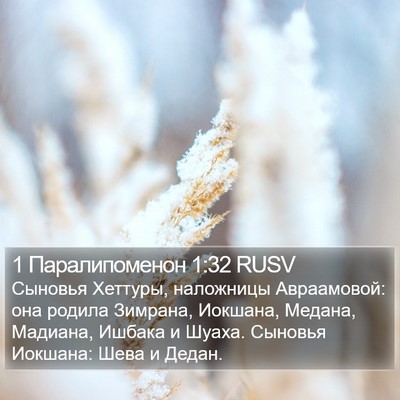 1 Паралипоменон 1:32 RUSV Bible Verse Image