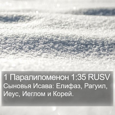 1 Паралипоменон 1:35 RUSV Bible Verse Image