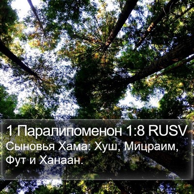 1 Паралипоменон 1:8 RUSV Bible Verse Image