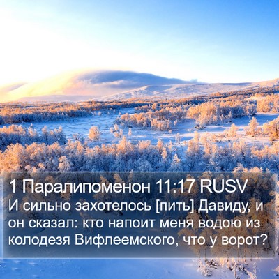 1 Паралипоменон 11:17 RUSV Bible Verse Image