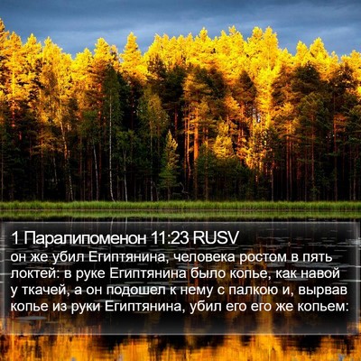 1 Паралипоменон 11:23 RUSV Bible Verse Image