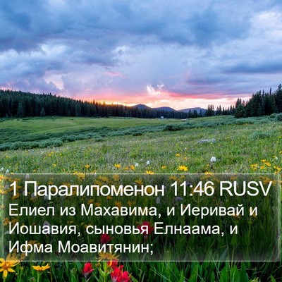 1 Паралипоменон 11:46 RUSV Bible Verse Image