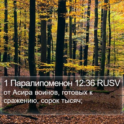 1 Паралипоменон 12:36 RUSV Bible Verse Image