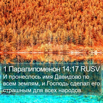 1 Паралипоменон 14:17 RUSV Bible Verse Image