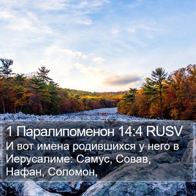 1 Паралипоменон 14:4 RUSV Bible Verse Image