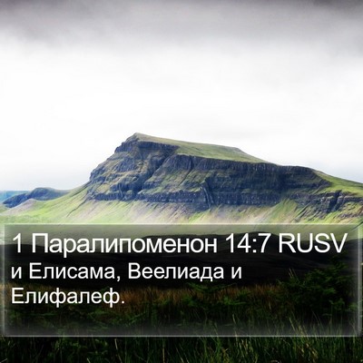 1 Паралипоменон 14:7 RUSV Bible Verse Image