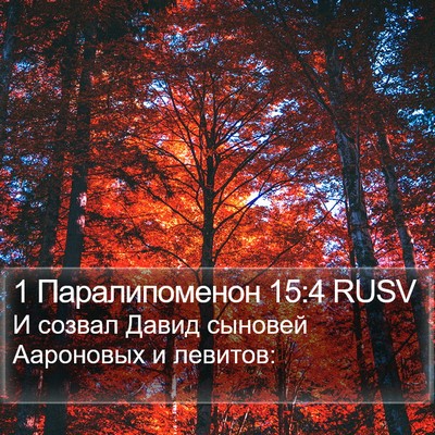 1 Паралипоменон 15:4 RUSV Bible Verse Image