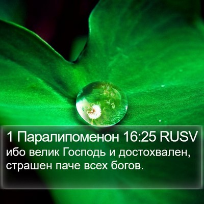 1 Паралипоменон 16:25 RUSV Bible Verse Image