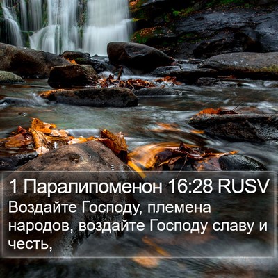 1 Паралипоменон 16:28 RUSV Bible Verse Image