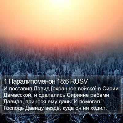 1 Паралипоменон 18:6 RUSV Bible Verse Image