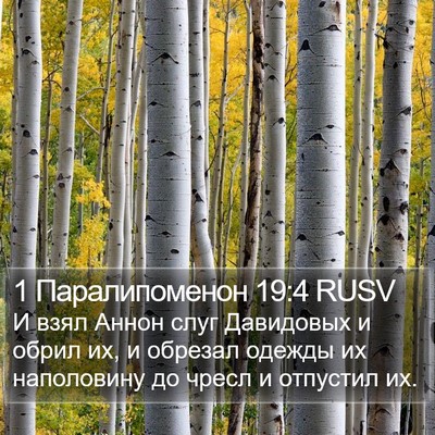 1 Паралипоменон 19:4 RUSV Bible Verse Image