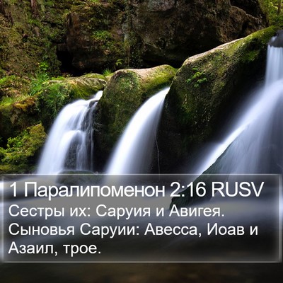 1 Паралипоменон 2:16 RUSV Bible Verse Image