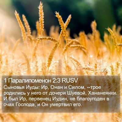 1 Паралипоменон 2:3 RUSV Bible Verse Image