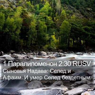 1 Паралипоменон 2:30 RUSV Bible Verse Image