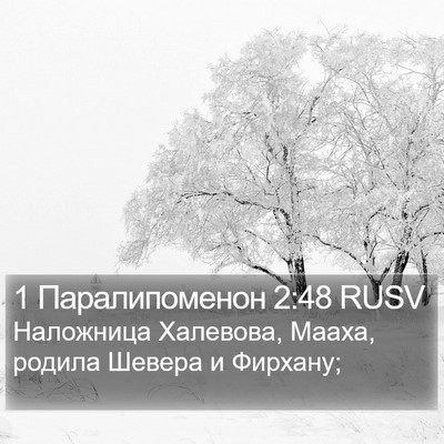 1 Паралипоменон 2:48 RUSV Bible Verse Image