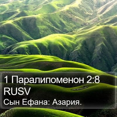 1 Паралипоменон 2:8 RUSV Bible Verse Image