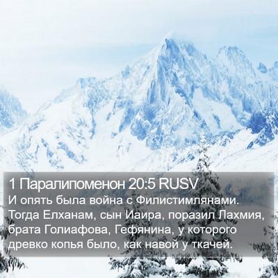 1 Паралипоменон 20:5 RUSV Bible Verse Image