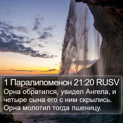 1 Паралипоменон 21:20 RUSV Bible Verse Image