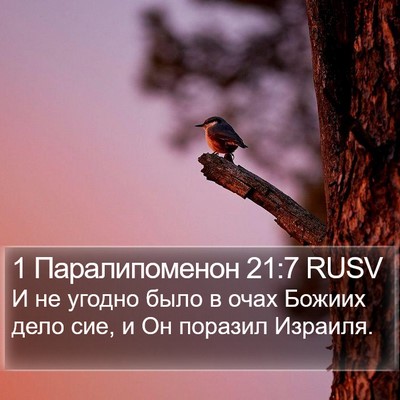 1 Паралипоменон 21:7 RUSV Bible Verse Image