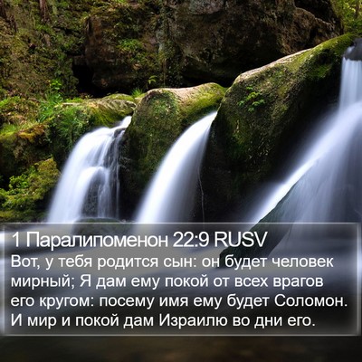 1 Паралипоменон 22:9 RUSV Bible Verse Image