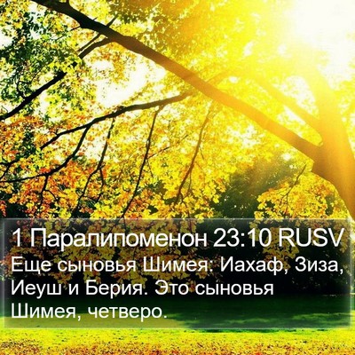 1 Паралипоменон 23:10 RUSV Bible Verse Image