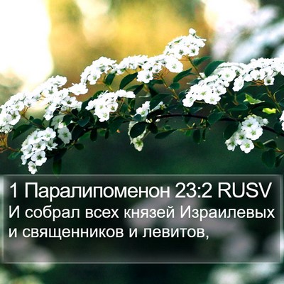 1 Паралипоменон 23:2 RUSV Bible Verse Image