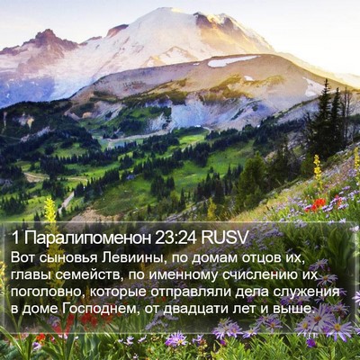 1 Паралипоменон 23:24 RUSV Bible Verse Image