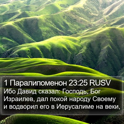 1 Паралипоменон 23:25 RUSV Bible Verse Image