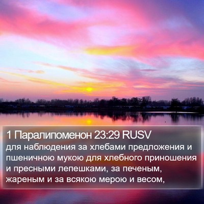 1 Паралипоменон 23:29 RUSV Bible Verse Image