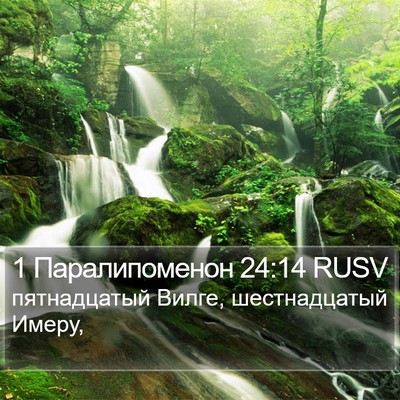 1 Паралипоменон 24:14 RUSV Bible Verse Image