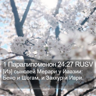 1 Паралипоменон 24:27 RUSV Bible Verse Image
