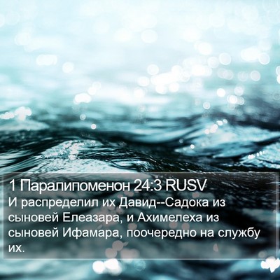 1 Паралипоменон 24:3 RUSV Bible Verse Image