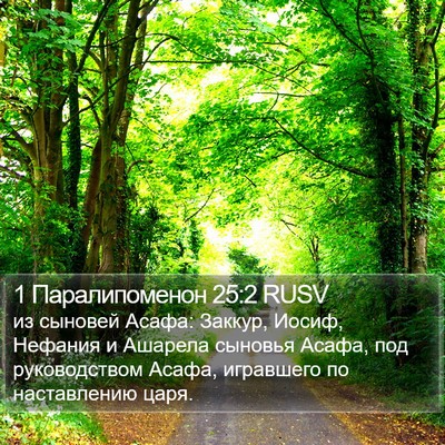 1 Паралипоменон 25:2 RUSV Bible Verse Image