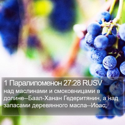 1 Паралипоменон 27:28 RUSV Bible Verse Image