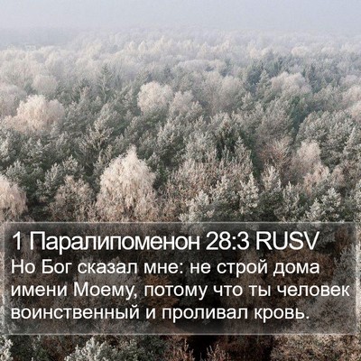 1 Паралипоменон 28:3 RUSV Bible Verse Image