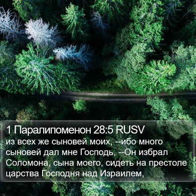 1 Паралипоменон 28:5 RUSV Bible Verse Image
