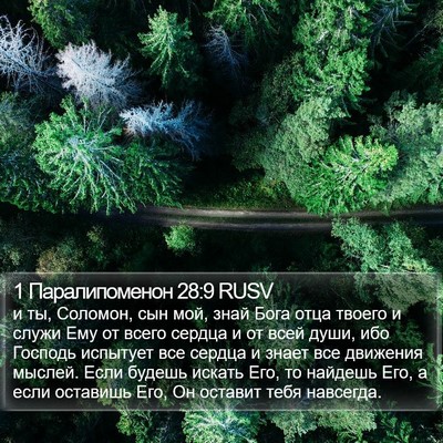 1 Паралипоменон 28:9 RUSV Bible Verse Image