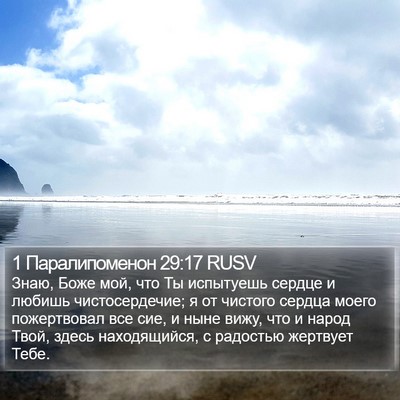 1 Паралипоменон 29:17 RUSV Bible Verse Image