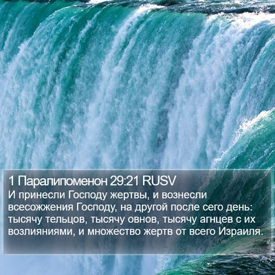1 Паралипоменон 29:21 RUSV Bible Verse Image