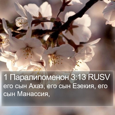 1 Паралипоменон 3:13 RUSV Bible Verse Image