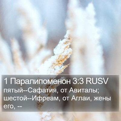 1 Паралипоменон 3:3 RUSV Bible Verse Image