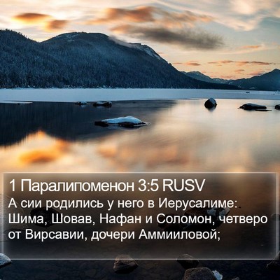 1 Паралипоменон 3:5 RUSV Bible Verse Image