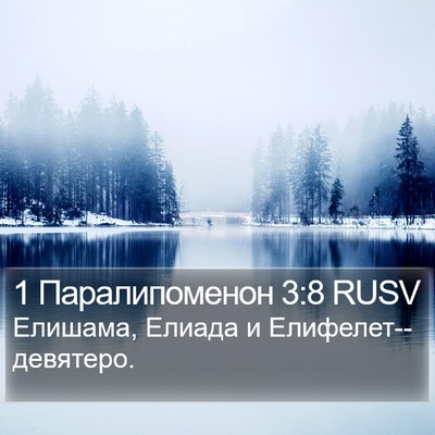 1 Паралипоменон 3:8 RUSV Bible Verse Image