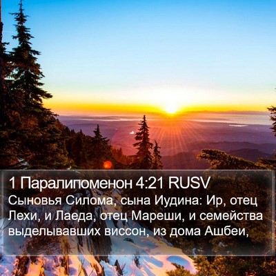 1 Паралипоменон 4:21 RUSV Bible Verse Image