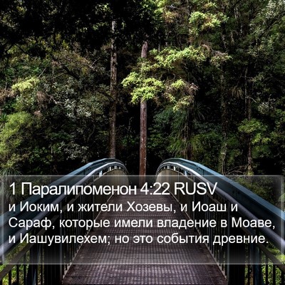 1 Паралипоменон 4:22 RUSV Bible Verse Image
