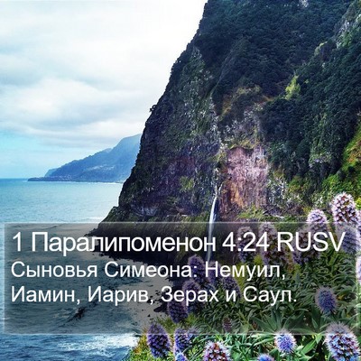 1 Паралипоменон 4:24 RUSV Bible Verse Image
