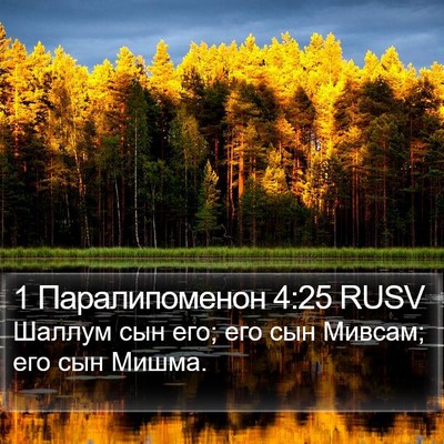 1 Паралипоменон 4:25 RUSV Bible Verse Image