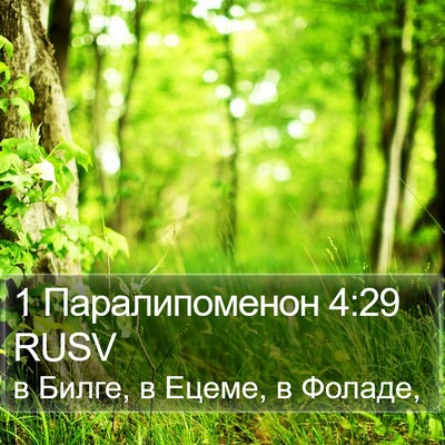 1 Паралипоменон 4:29 RUSV Bible Verse Image